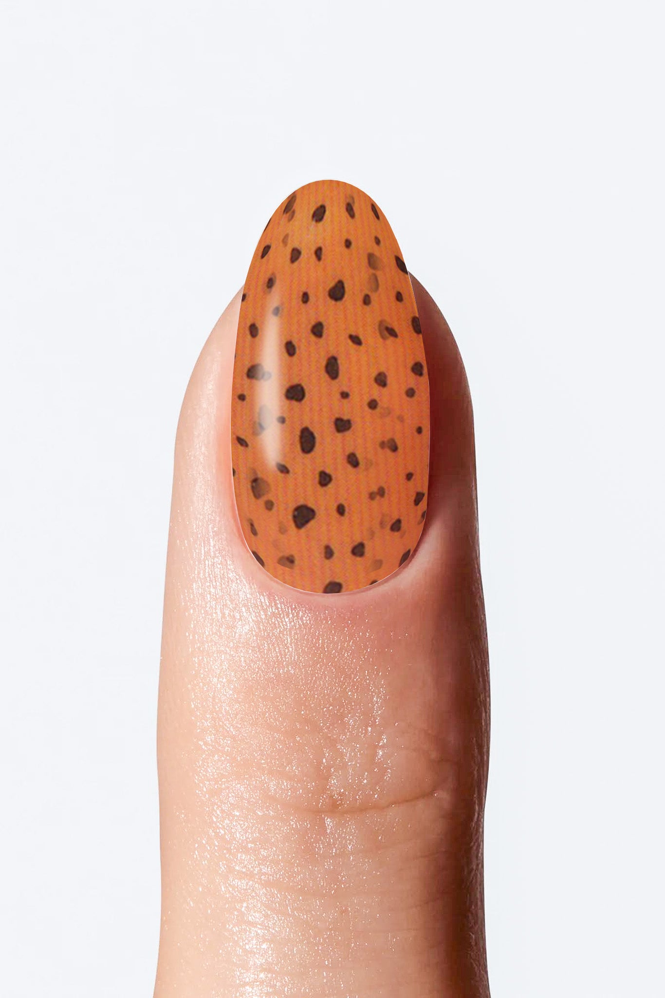 Nail with orange nail wrap and black polka dots on a light background