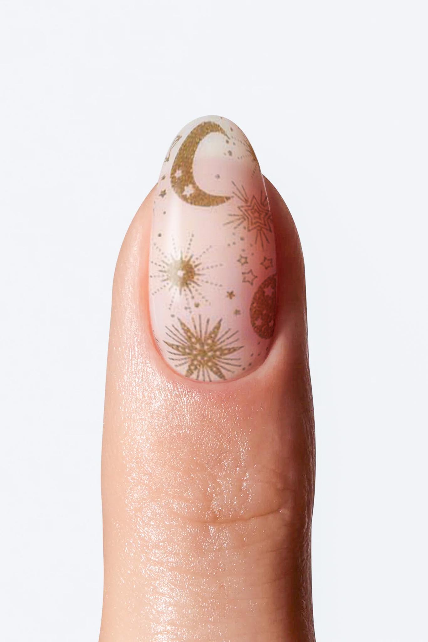 Pegasus - Transparent Base