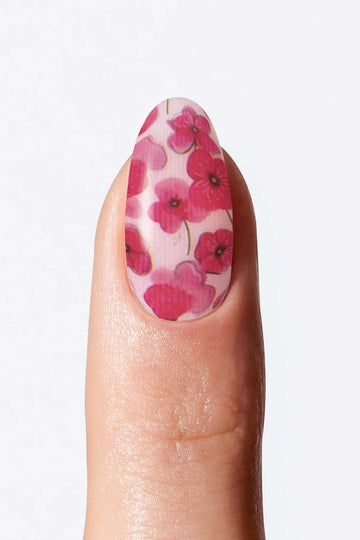Petal Pop